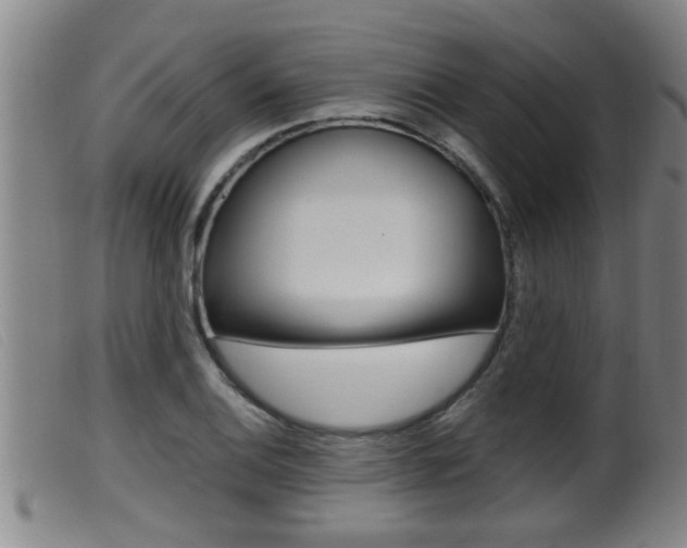 X0000099951124200805230955