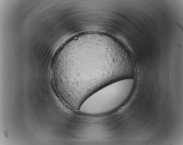 X0000099951125200805230955