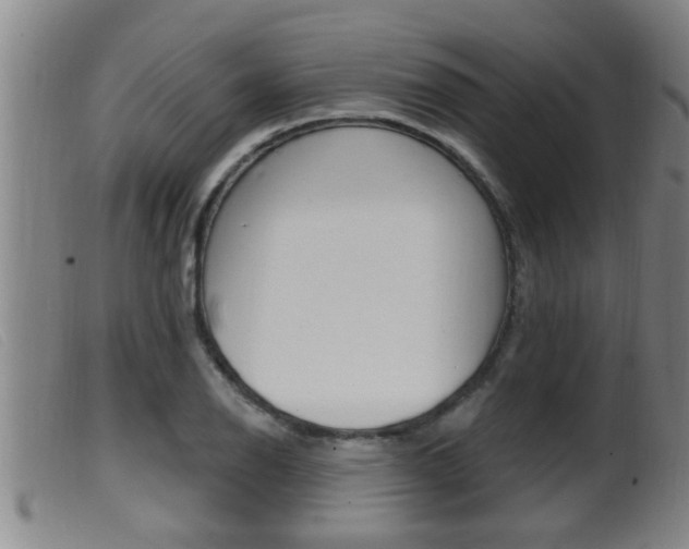 X0000099951126200805230955
