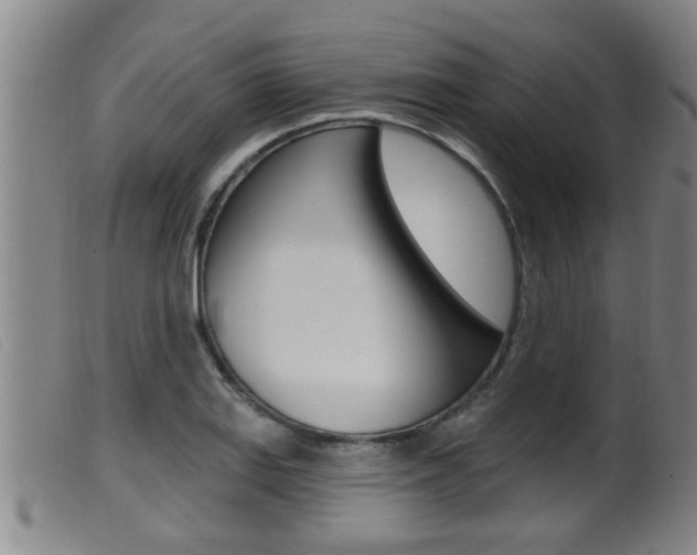 X0000099951127200805230955