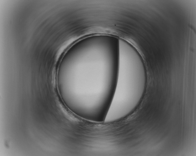 X0000099951128200805230955