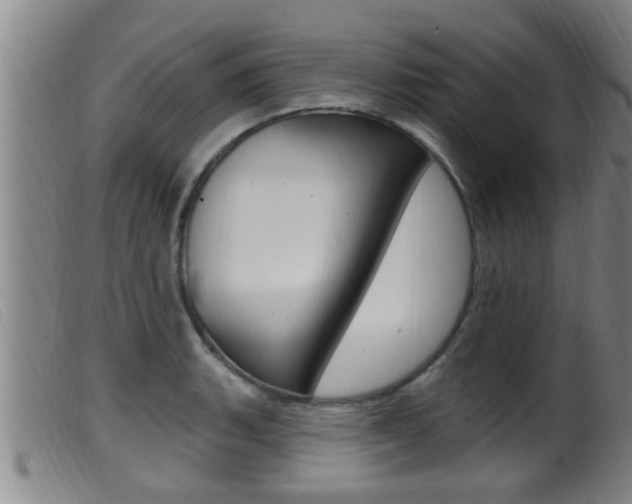 X0000099951135200805230955