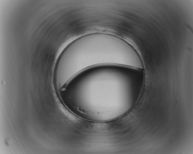 X0000099951136200805230955