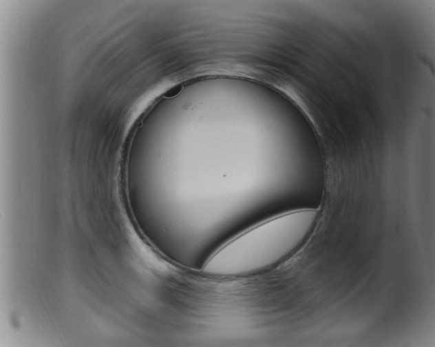 X0000099951139200805230955