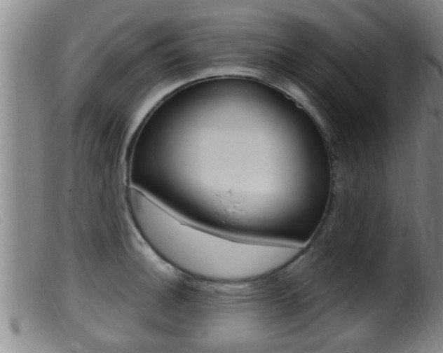 X0000099951140200805230955