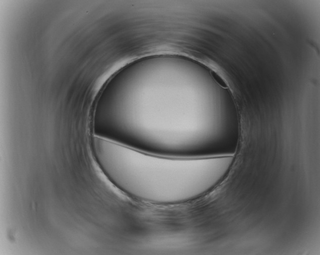 X0000099951142200805230955
