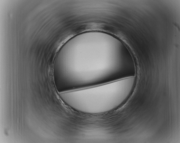 X0000099951145200805230955