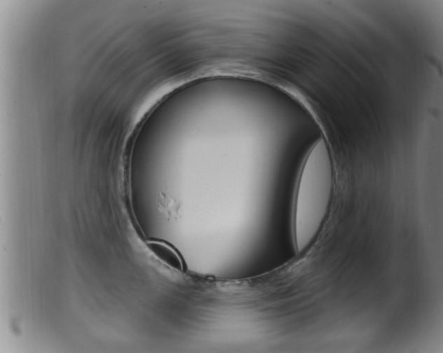 X0000099951147200805230955