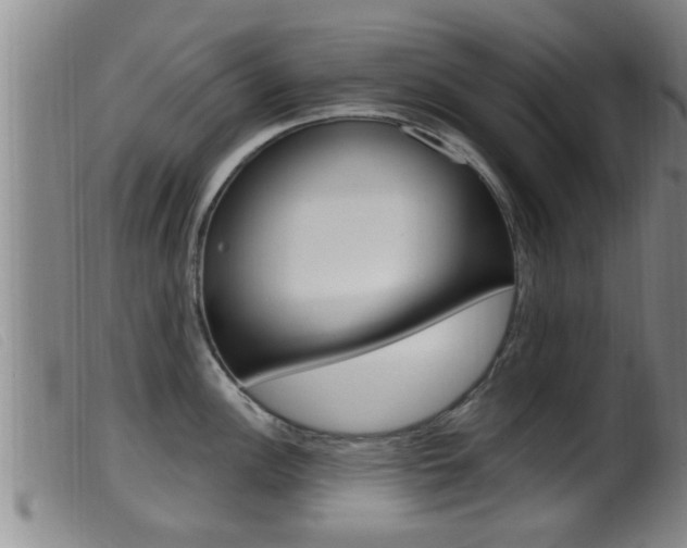 X0000099951148200805230955