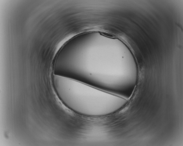 X0000099951149200805230955