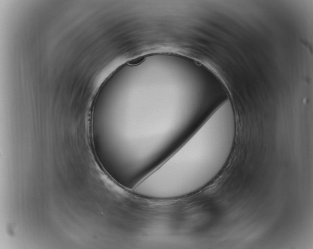 X0000099951151200805230955