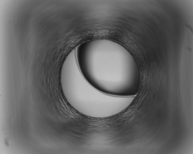 X0000099951153200805230955