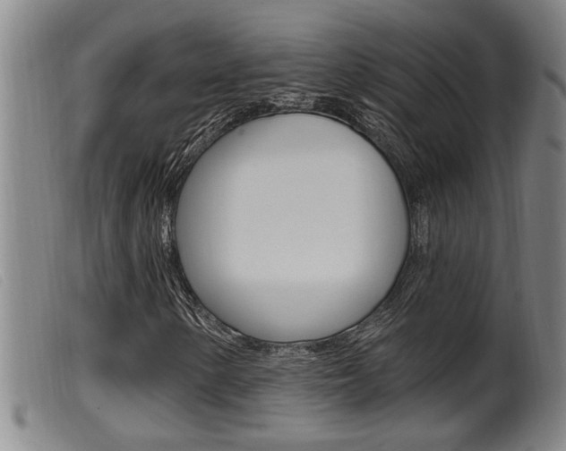 X0000099951154200805230955