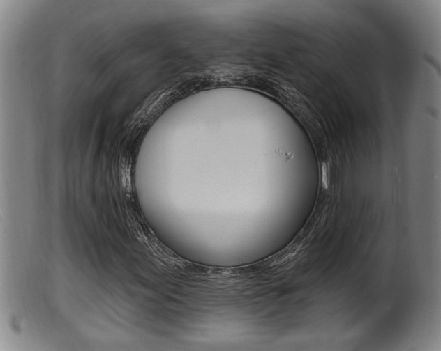 X0000099951155200805230955
