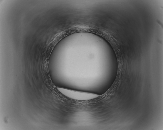 X0000099951157200805230954