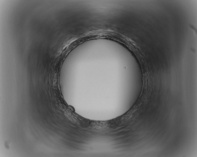 X0000099951158200805230954