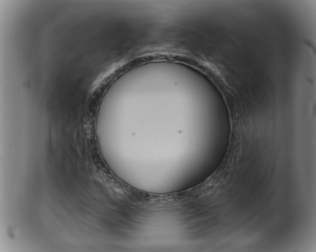 X0000099951159200805230954