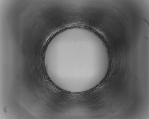 X0000099951160200805230954