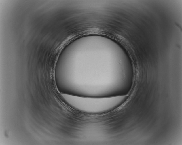 X0000099951161200805230954