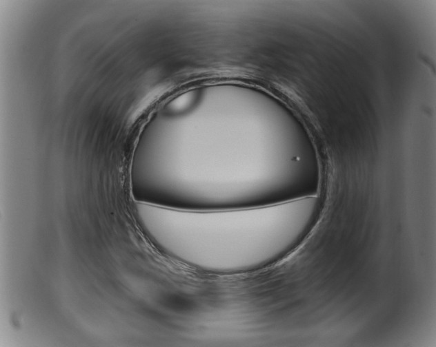 X0000099951163200805230954