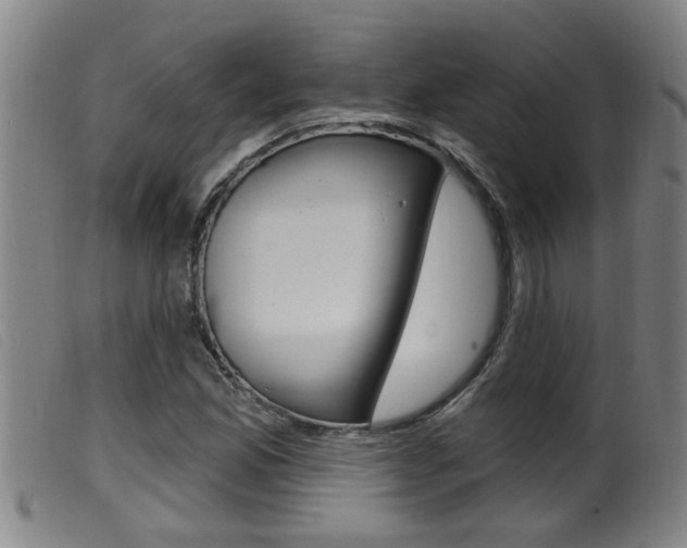 X0000099951165200805230954