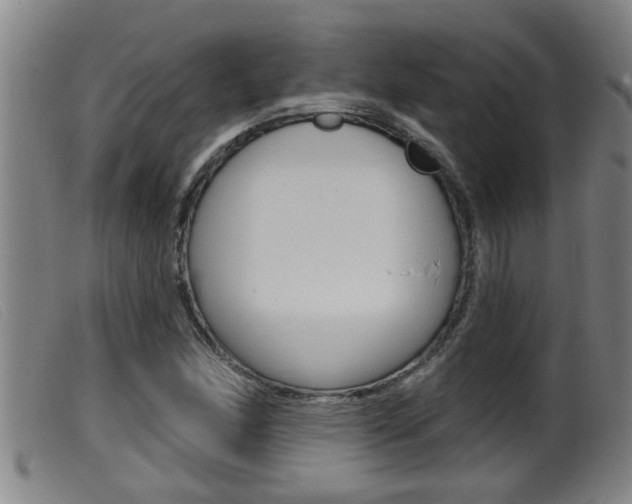 X0000099951166200805230954