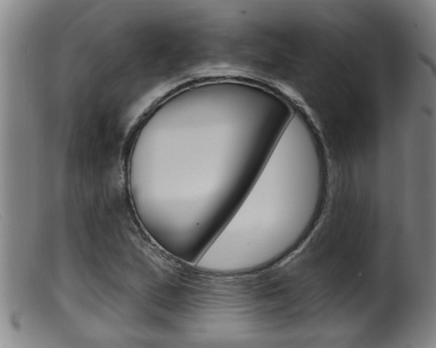 X0000099951167200805230954