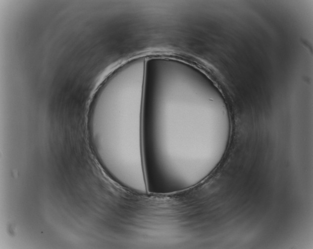 X0000099951168200805230954