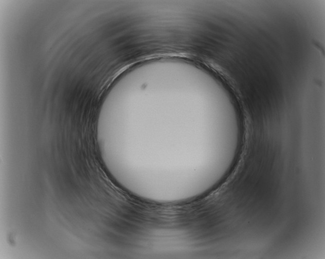 X0000099951169200805230954
