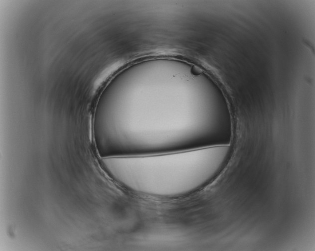 X0000099951171200805230954