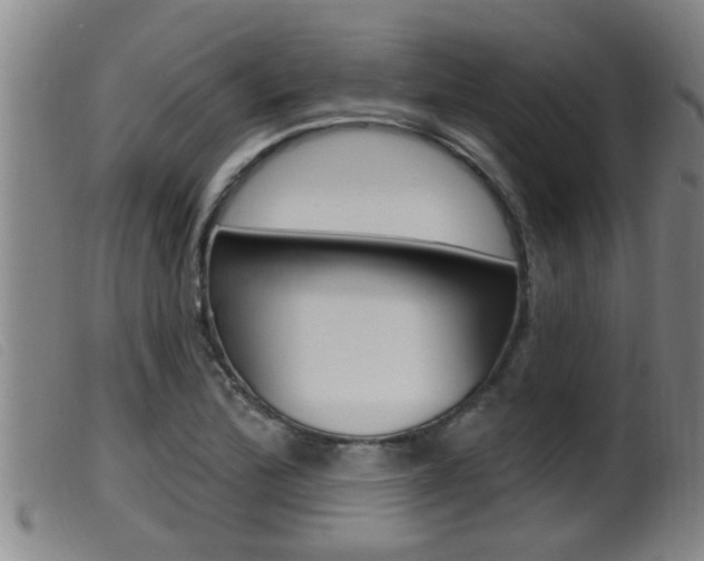 X0000099951172200805230954