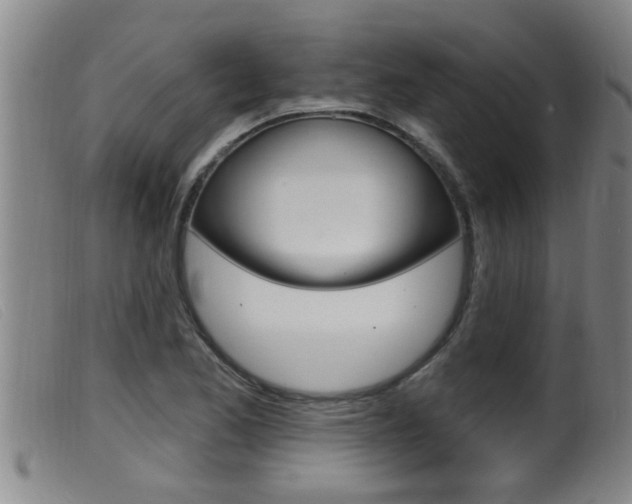 X0000099951173200805230954