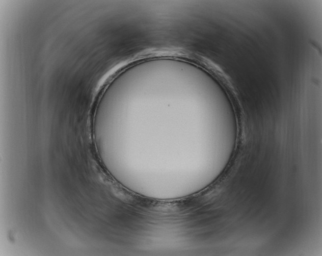 X0000099951174200805230954