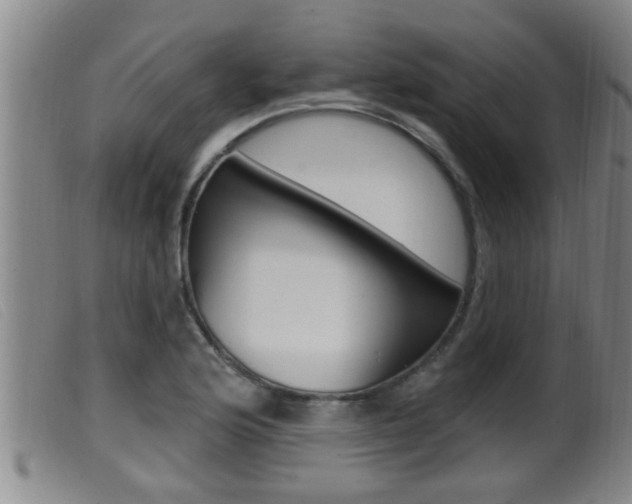 X0000099951176200805230954