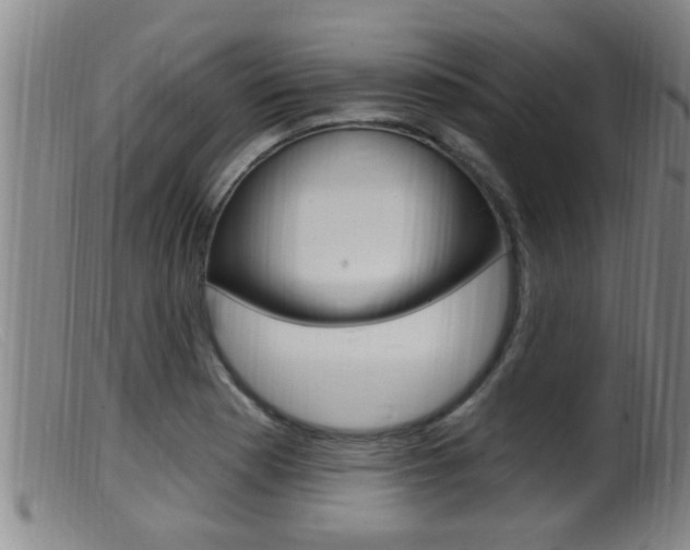 X0000099951177200805230954