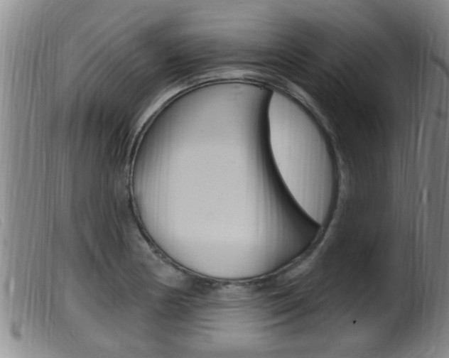 X0000099951178200805230954