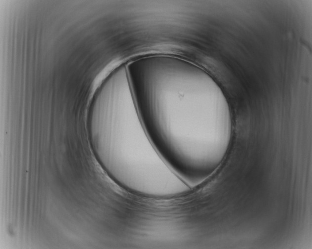 X0000099951180200805230954