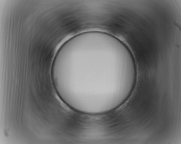 X0000099951181200805230954