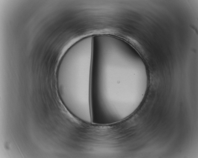 X0000099951184200805230954