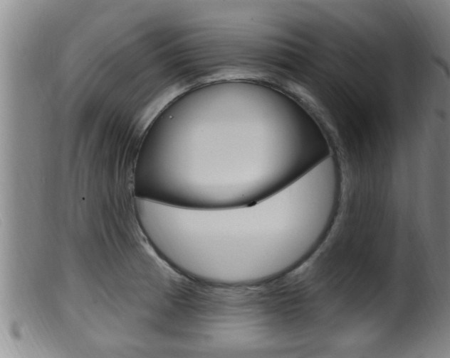 X0000099951185200805230954