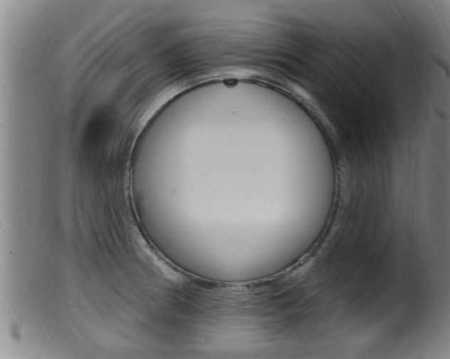 X0000099951186200805230954