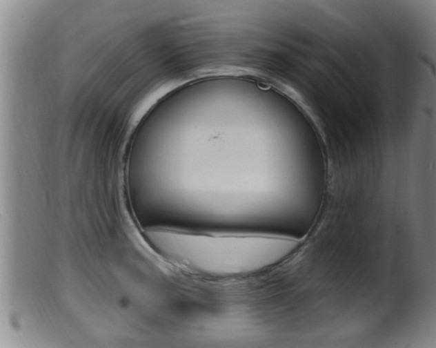 X0000099951187200805230954