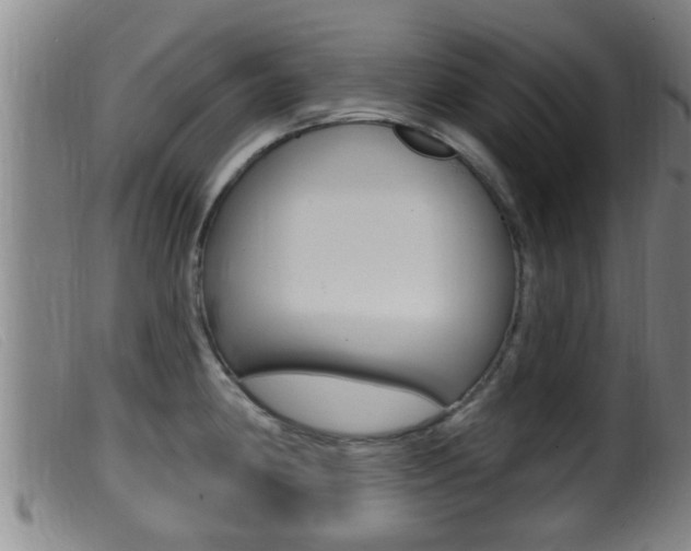 X0000099951190200805230954