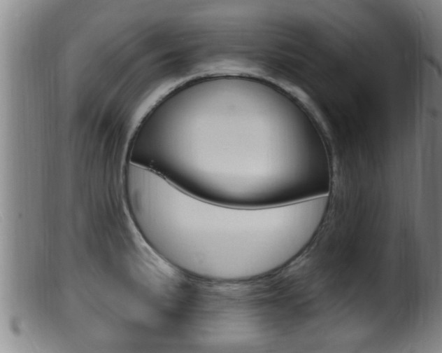 X0000099951191200805230954