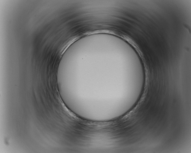 X0000099951193200805230954
