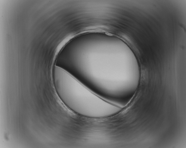 X0000099951196200805230954