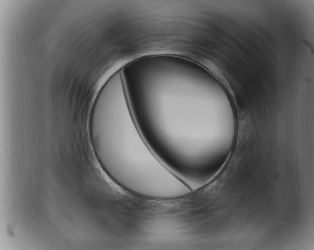 X0000099951197200805230954