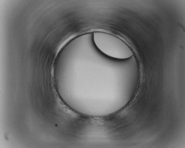 X0000099951198200805230954