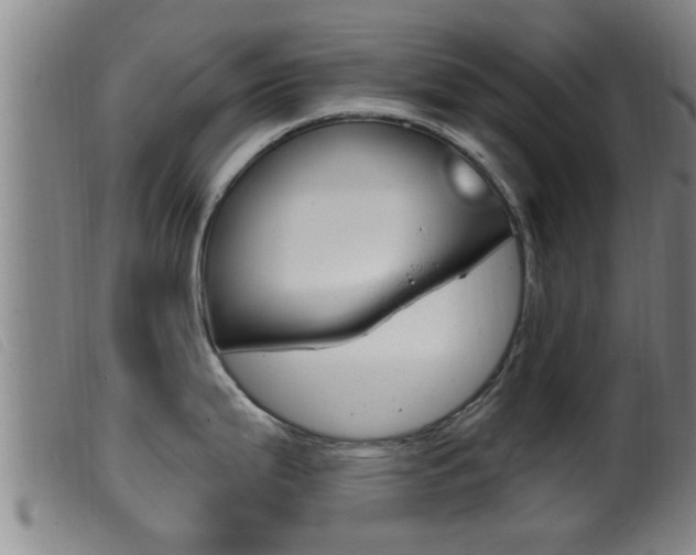 X0000099951199200805230954
