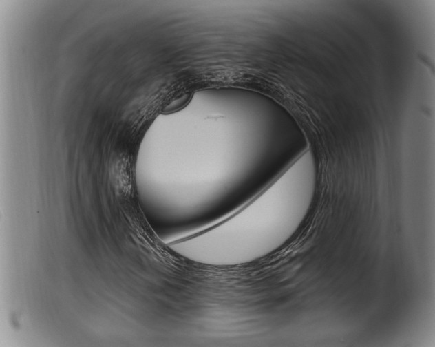 X0000099951202200805230953